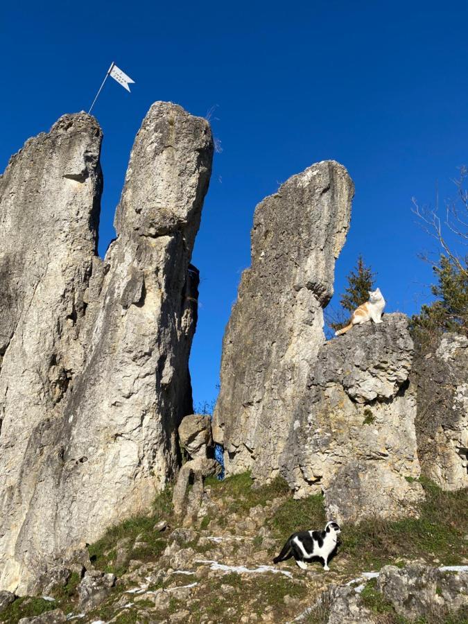 Gasthof Zur Saegemuehle Apartment Hiltpoltstein Luaran gambar