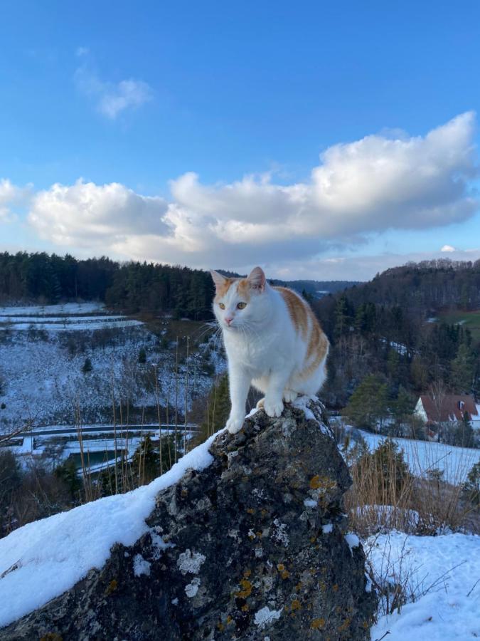 Gasthof Zur Sagemuhle Apartment Hiltpoltstein Luaran gambar