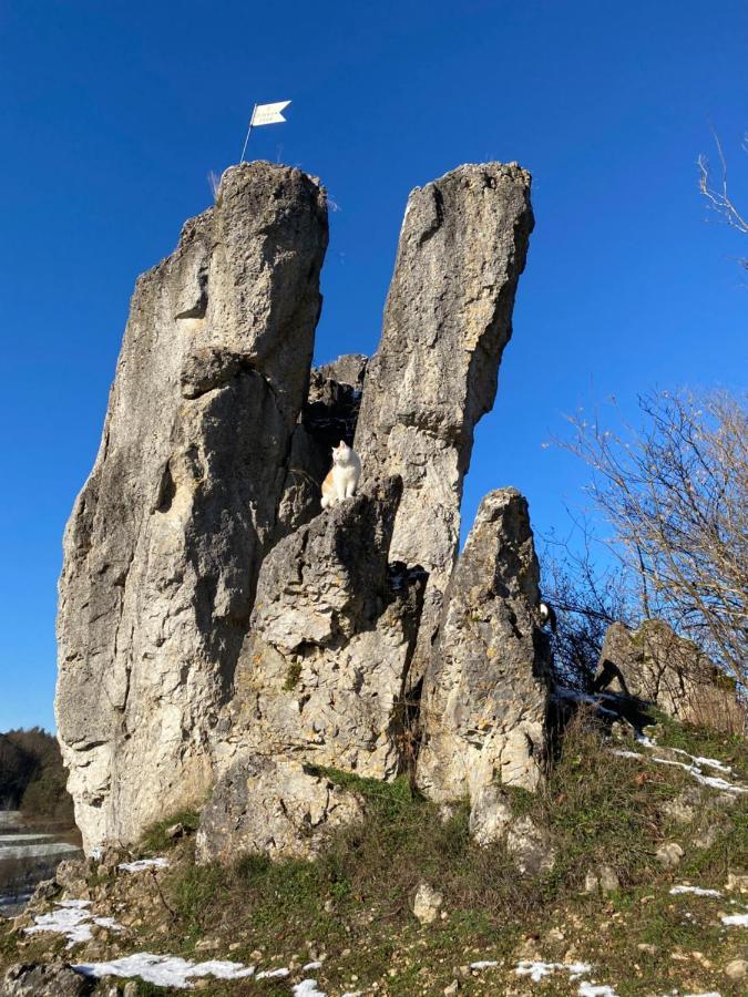 Gasthof Zur Sagemuhle Apartment Hiltpoltstein Luaran gambar